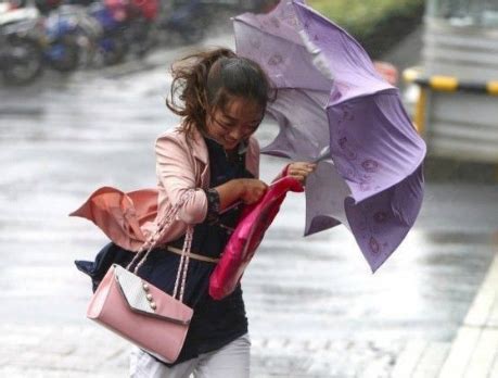 夢見大風大雨|夢見雨、下雨、暴雨